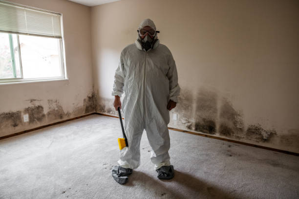 Best Mold Damage Repair  in Westlake, OH